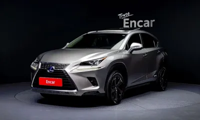 Lexus NX · 2018 год