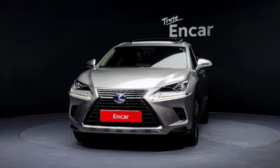 Lexus NX 2018, 138300 км, за 17152.3 USD