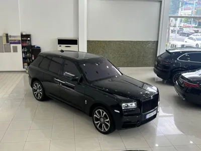 Rolls-Royce Cullinan 2023, 493 км, за 327771.81 USD - фото 20