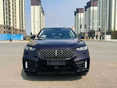 WEY Wey VV7 · 2020 год