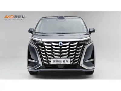 Denza Denza D9
