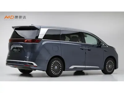 Denza Denza D9
