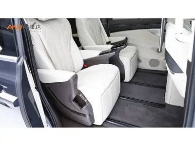 Denza Denza D9
