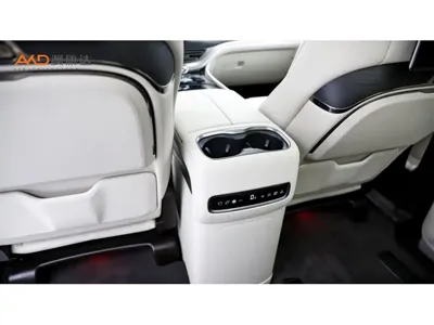 Denza Denza D9