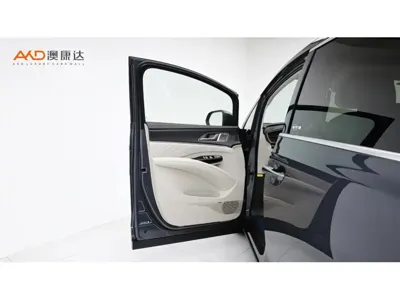 Denza Denza D9