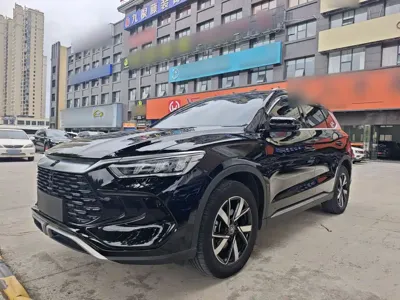 BYD Pro New Energy 2024, 43600 км, за 10875.11 USD