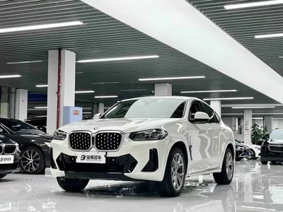 BMW X4 · 2021 год