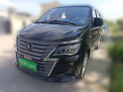 Forthing Lingzhi · 2022 год