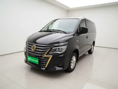 Forthing Lingzhi · 2020 год