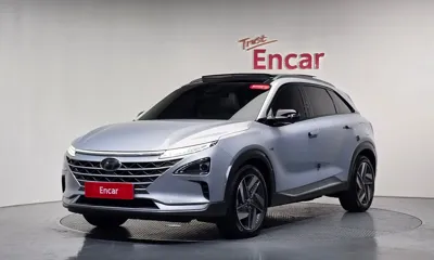 Hyundai Nexo 2019, 114453 км, за 9627.9 USD - фото 11
