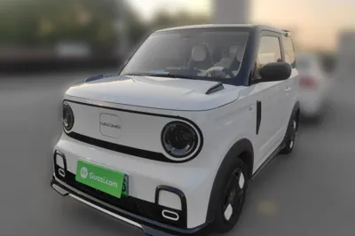 Geely Galaxy Panda · 2024 год