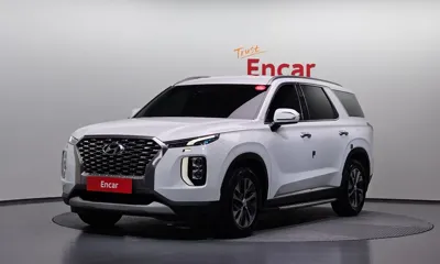 Hyundai Palisade · 2019 год