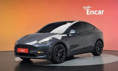 Tesla Model Y · 2021 год