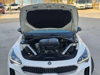 Kia Stinger 2018, 100000 км, за 13062.89 USD - фото 20