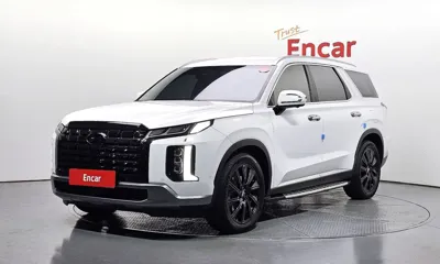 Hyundai Palisade · 2024 год