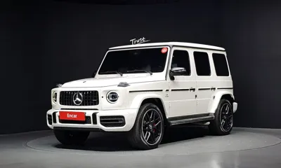 Mercedes-Benz G-Class · 2020 год