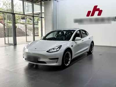 Tesla Model 3 · 2023 год