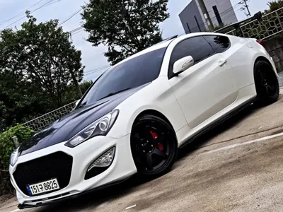 Hyundai Genesis 2010, 160103 км, за 4926.34 USD - фото 18