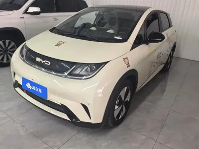 BYD Dolphin · 2024 год