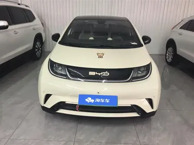 BYD Dolphin 2024, 26000 км, за 10104.42 USD