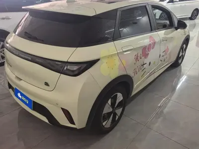BYD Dolphin 2024, 26000 км, за 10104.42 USD