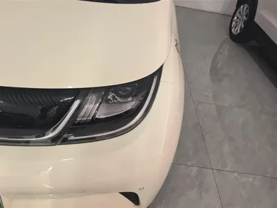 BYD Dolphin 2024, 26000 км, за 10104.42 USD