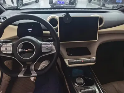 BYD Dolphin 2024, 26000 км, за 10104.42 USD - фото 12
