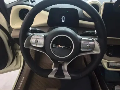 BYD Dolphin 2024, 26000 км, за 10104.42 USD - фото 15
