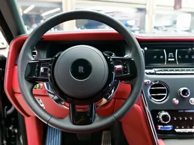 Rolls-Royce Cullinan 2021, 9800 км, за 700104.14 USD - фото 12