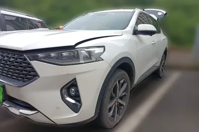 Haval F7 · 2020 год