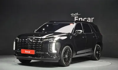 Hyundai Palisade · 2024 год