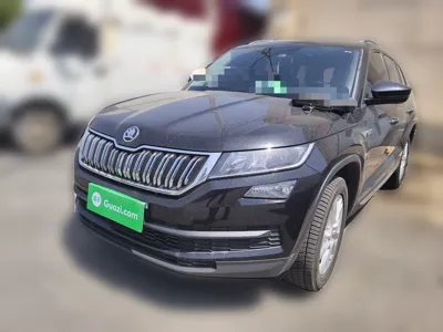 Skoda Kodiaq · 2018 год