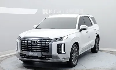Hyundai Palisade · 2024 год