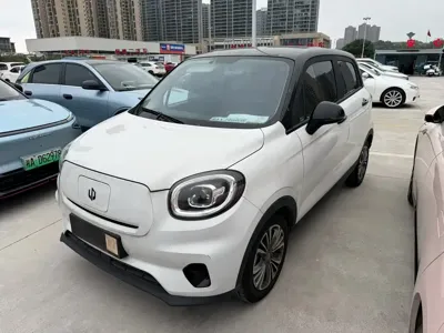 Leapmotor Leapmotor T03 · 2024 год