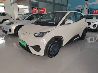 BYD Seagull 2026, 100 км, за 8765.01 USD