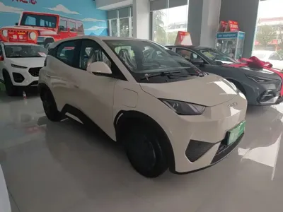 BYD Seagull 2026, 100 км, за 8765.01 USD