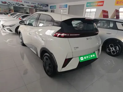 BYD Seagull 2026, 100 км, за 8765.01 USD