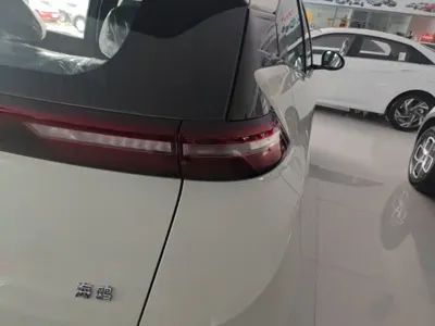 BYD Seagull 2026, 100 км, за 8765.01 USD - фото 8