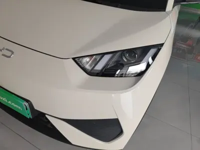 BYD Seagull 2026, 100 км, за 8765.01 USD - фото 24