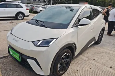 BYD Seagull · 2023 год