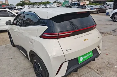 BYD Seagull 2023, 33500 км, за 9600 USD