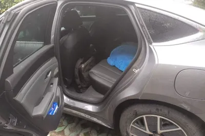 BYD Qin L 2024, 37800 км, за 12701 USD - фото 17
