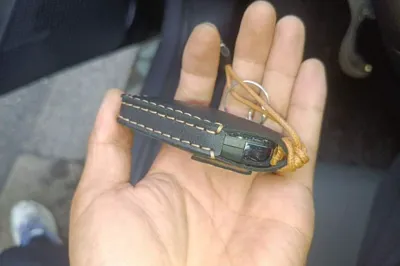 BYD Qin L 2024, 37800 км, за 12701 USD - фото 20