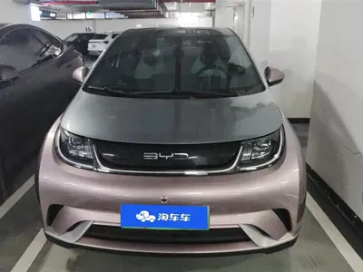 BYD Dolphin 2022, 48500 км, за 8269.41 USD