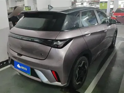 BYD Dolphin 2022, 48500 км, за 8269.41 USD