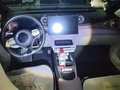BYD Dolphin 2022, 48500 км, за 8269.41 USD - фото 12
