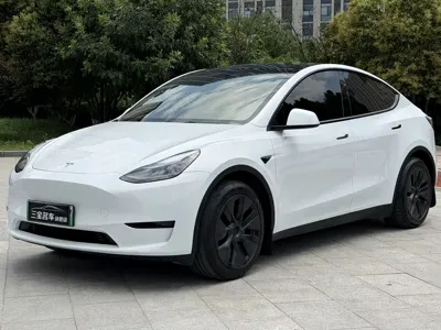 Tesla Model Y · 2024 год