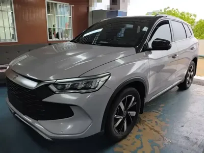 BYD Pro New Energy · 2024 год