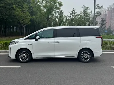 WEY Wey Gaoshan 2024, 36000 км, за 30164.22 USD