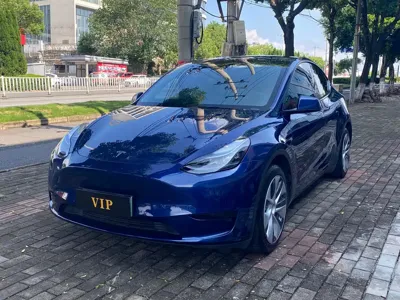 Tesla Model Y · 2022 год